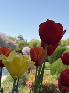 「発信って意味あるの？」の答えが、翌日にやってきた話 
〜ご縁はちゃんと繋がっている〜