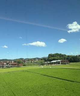 夏旅に出て感じる
「年齢を重ねて体力をつけるコツ」