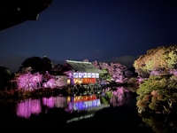 膝の痛みはありますか？手術しかないと言われた日を思いだして